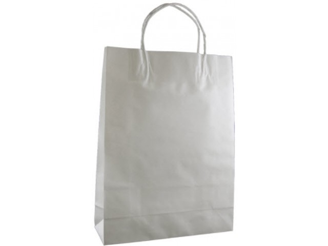 Medium WHITE Twist Handle Paper Gift Bags Bundle/10