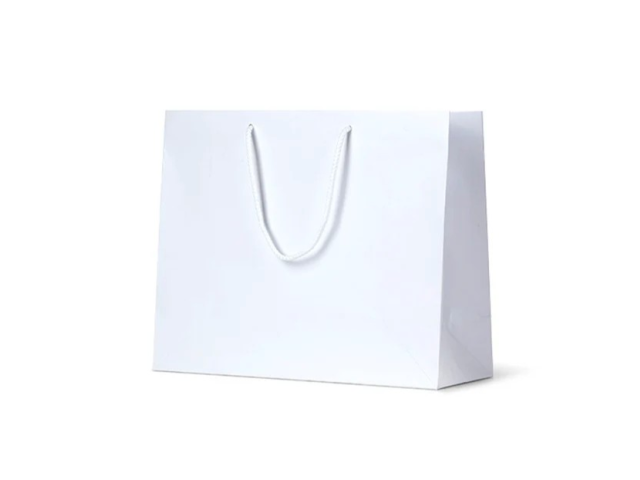 Large WHITE Matte Laminate Carry Bag