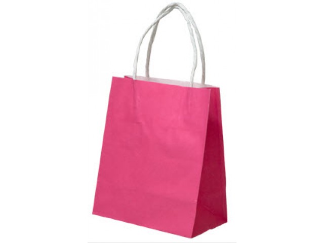 X-Small PINK Twist Handle Paper Gift Bags Bundle/10