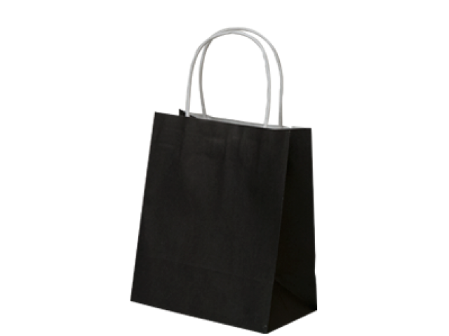 Small BLACK Twist Handle Paper Gift Bags Bundle/10
