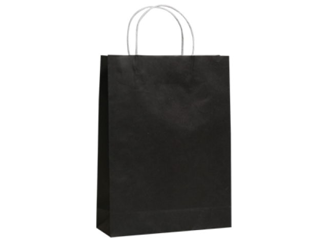Twist Handle Paper Bag BLACK Carton/250
