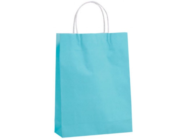 Medium BLUE Twist Handle Paper Gift Bags Bundle/10