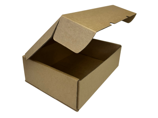 Courier Box with Hinged Lid Heavy Duty