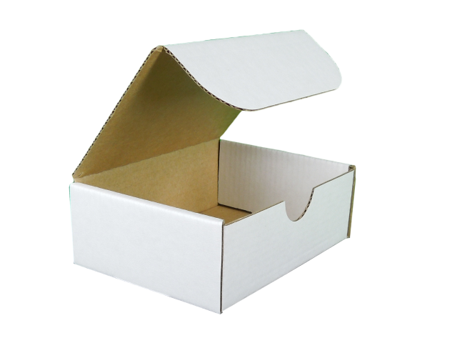 WHITE RECTANGLE D/C 100x75x37 Hinged Lid › Packaging Products