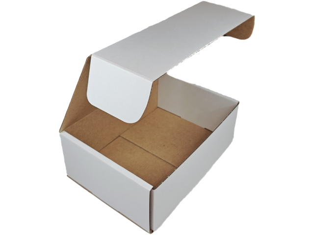 Medium (E) WHITE Hinged Lid Cardboard Box