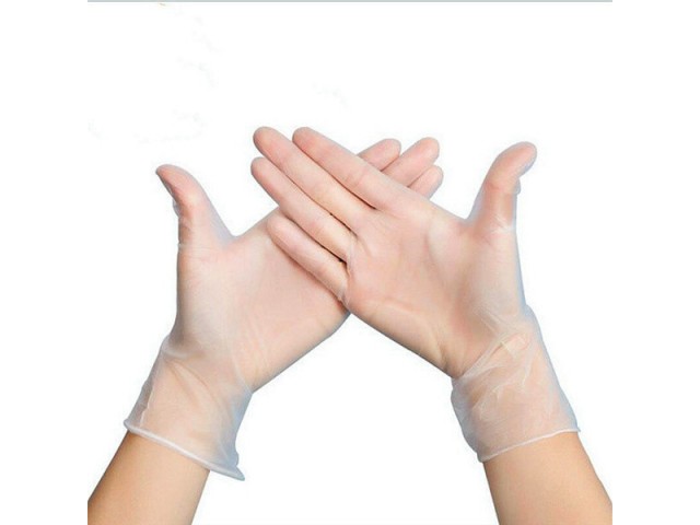 Large Protec Vinyl Powder Free Gloves (Pack/100)