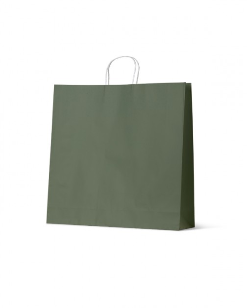 Gift Bags NZ XLarge Green Gift Bags 25 Packaging Products
