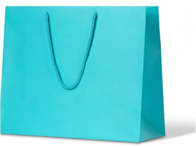 Large AQUA Matte Laminate Carry Bag