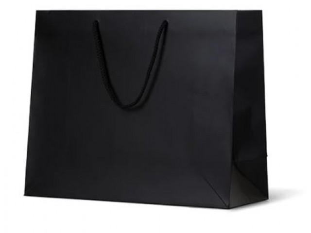 Large BLACK Matte Laminate Carry Bag