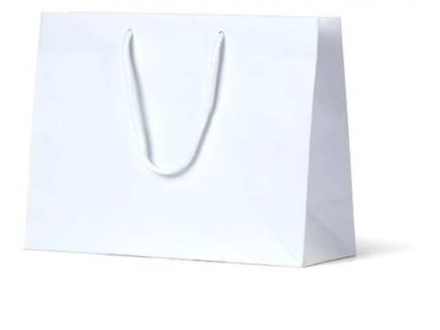 Medium WHITE Matte Laminate Carry Bag