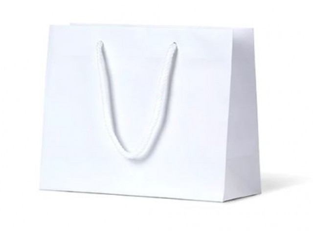 Small WHITE Matte Laminate Carry Bag