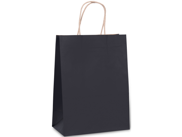 Small Midnight Paper Bag Bundle/10