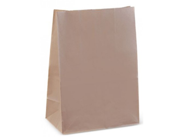 Paper Bag Takeaway Size Pack/250