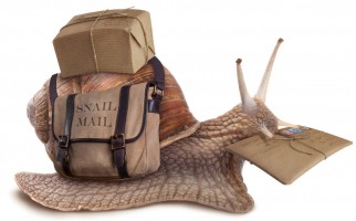 Mailer & Courier Bags