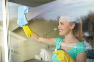 Window (Glass) Cleaning