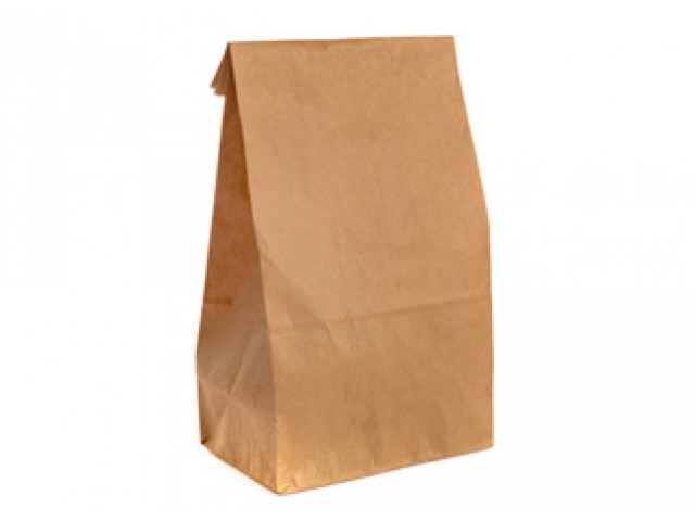 Large Checkout Paper Bags Pack/250