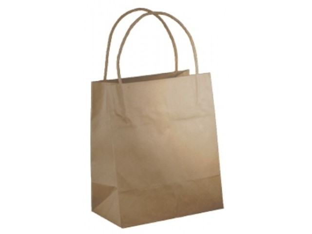 X-Small BROWN Twist Handle Paper Gift Bags Bundle/10