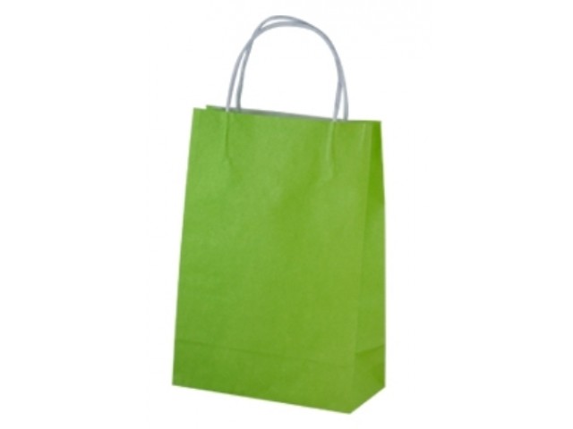 Small LIME Twist Handle Paper Gift Bags Bundle/10