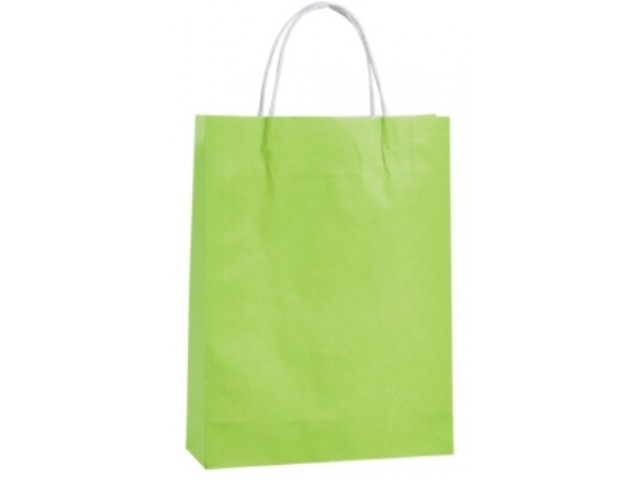 Twist Handle Paper Bag LIME Carton/250