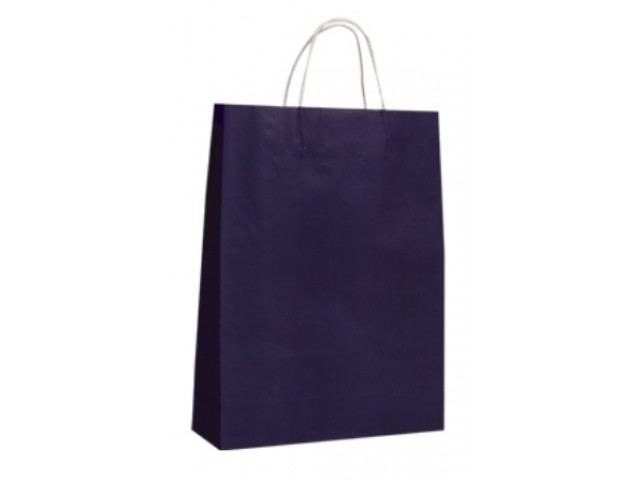 Twist Handle Paper Bag PURPLE Carton/250