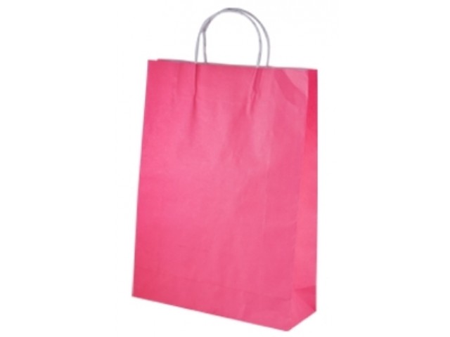 Large PINK Twist Handle Paper Gift Bags Bundle/10