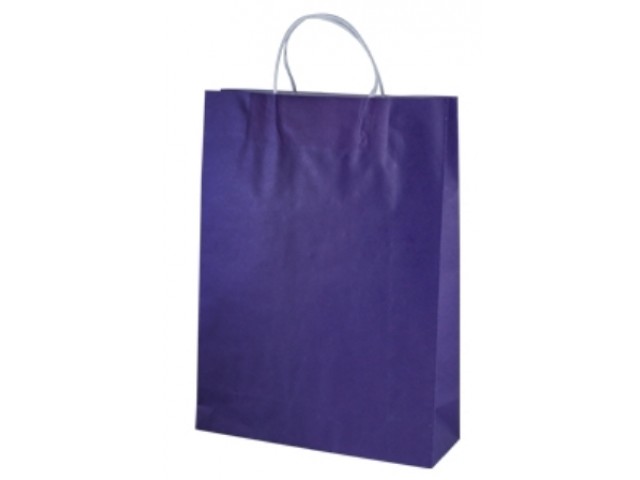 Twist Handle Paper Bag PURPLE Carton/250