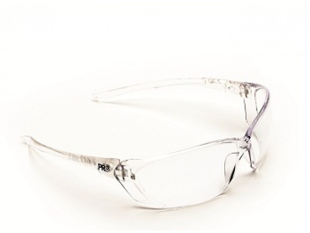 Richter Safety Glasses Anti-Fog Clear Lens